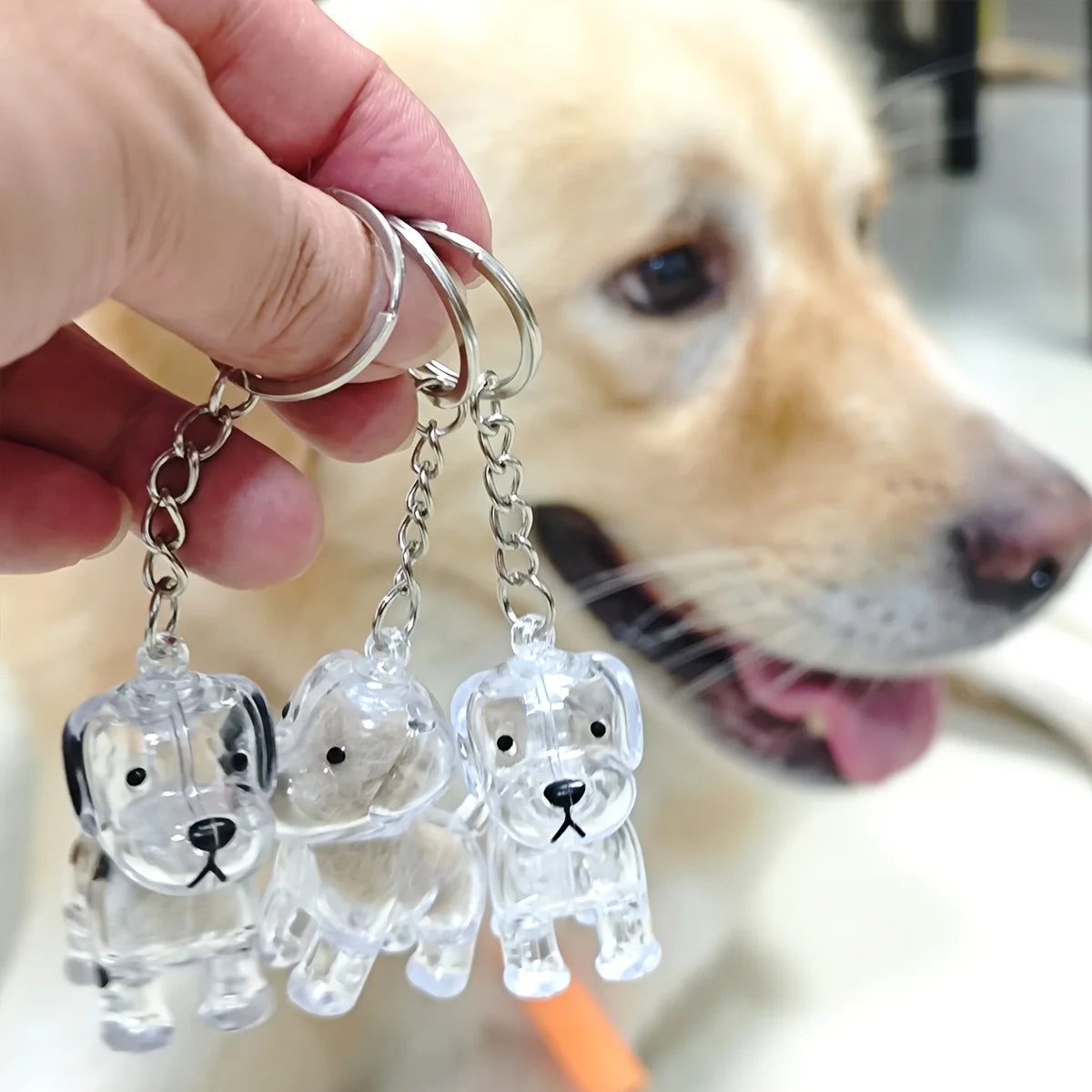 Transparenter Aufbewahrungsbehälter für Hundehaare, bezaubernder Haustier-Andenken-Kapsel-Anhänger mit Schlüsselring für Haustierliebhaber, DIY-Gedenkschlüsselanhänger
