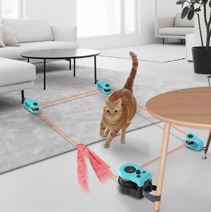 KittyChase™