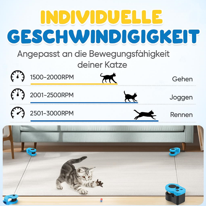 KittyChase™