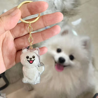 Transparenter Aufbewahrungsbehälter für Hundehaare, bezaubernder Haustier-Andenken-Kapsel-Anhänger mit Schlüsselring für Haustierliebhaber, DIY-Gedenkschlüsselanhänger