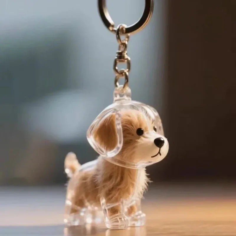 Transparenter Aufbewahrungsbehälter für Hundehaare, bezaubernder Haustier-Andenken-Kapsel-Anhänger mit Schlüsselring für Haustierliebhaber, DIY-Gedenkschlüsselanhänger