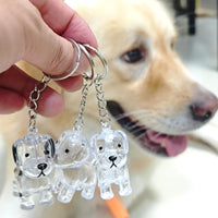 Transparenter Aufbewahrungsbehälter für Hundehaare, bezaubernder Haustier-Andenken-Kapsel-Anhänger mit Schlüsselring für Haustierliebhaber, DIY-Gedenkschlüsselanhänger