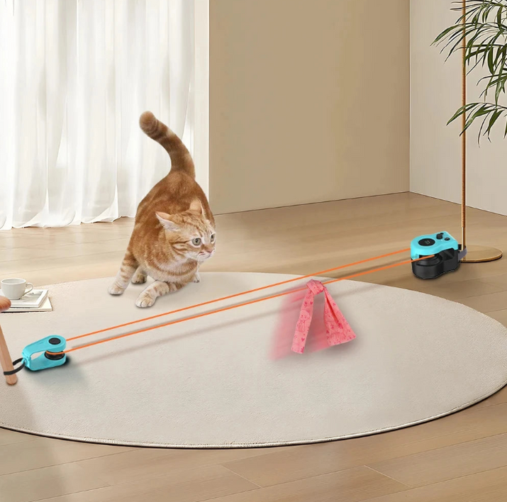 KittyChase™
