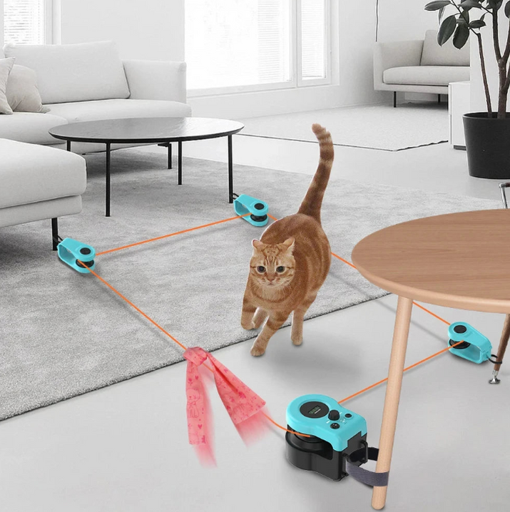 KittyChase™