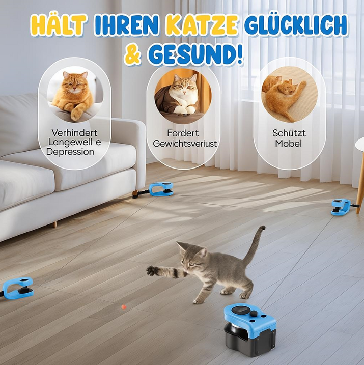 KittyChase™