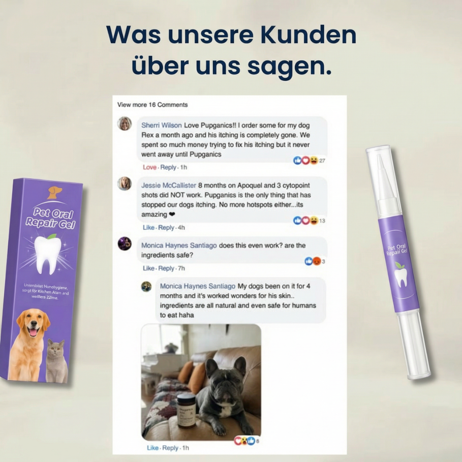 Pet Oral Repair