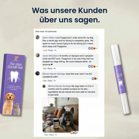 Pet Oral Repair