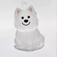 Transparenter Aufbewahrungsbehälter für Hundehaare, bezaubernder Haustier-Andenken-Kapsel-Anhänger mit Schlüsselring für Haustierliebhaber, DIY-Gedenkschlüsselanhänger