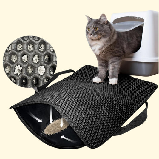 MattyCat