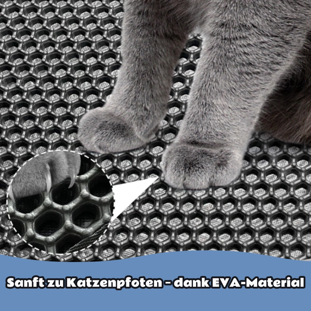 MattyCat